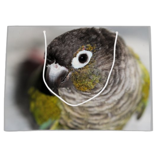 バーベル ラージペーパーバッグ (正面)