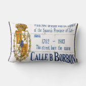 バーボンセントタイルムラル ランバークッション (裏面)