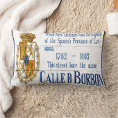 バーボンセントタイルムラル ランバークッション (ブランケット)