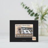 バーボンセントバルコニーキティ ポストカード (スタンド正面)