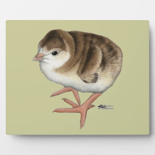 バーボンレッド七面鳥の幼鳥 フォトプラーク (正面)
