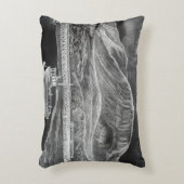 バーマスからカデールのアイドリス枕の方を見る アクセントクッション (正面(垂直))