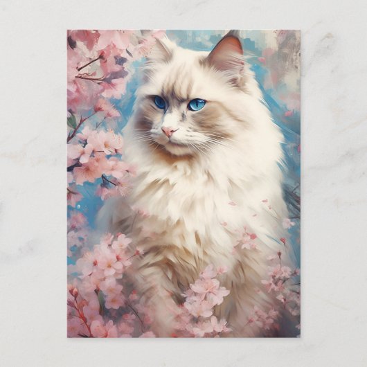 バーマンキャットの花 ポストカード (正面)