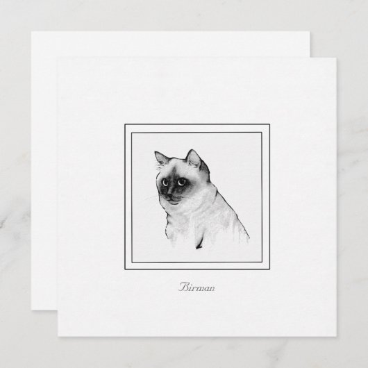 バーマンキャットフラットノートカードのチョークスケッチ ノートカード (正面/裏面)