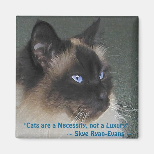 バーマンラグドール猫マグネットシリーズ マグネット (正面)