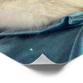 バーマン、レッドポイント ポスター (角)