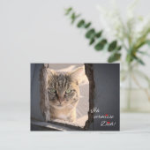 バーミッセ・ディッチ！ ポストカード (スタンド正面)