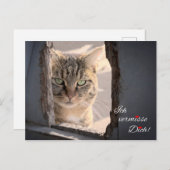 バーミッセ・ディッチ！ ポストカード (正面/裏面)