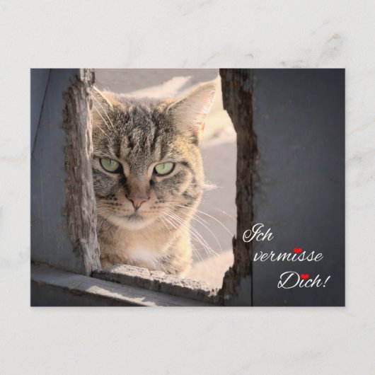 バーミッセ・ディッチ！ ポストカード (正面)