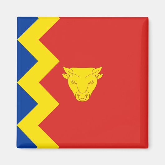 バーミンガムシティ国旗 マグネット (正面)