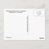 バーミンガムリリー池 ポストカード (裏面)