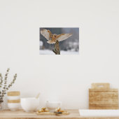 バームフクロウがスパイクに着陸 ポスター (キッチン)