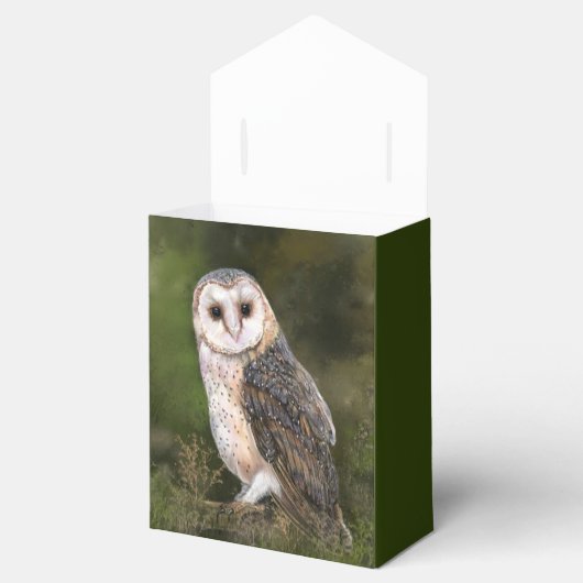 バームフクロウのお願い フェイバーボックス (オープン)