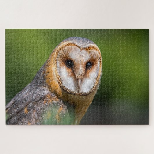 バームフクロウの写真 ジグソーパズル (横)