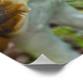 バームフクロウポスター ポスター (角)