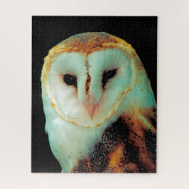 バームフクロウ – 猛禽類。 ジグソーパズル