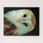 バームフクロウ – 猛禽類。 ジグソーパズル (横)