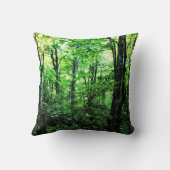 バーモントの夏の森（雨後） クッション (裏面)