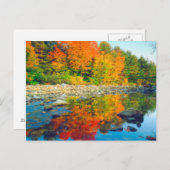 バーモントの小川に反射する秋の色 ポストカード (正面/裏面)
