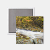 バーモントの緑の秋の轟音のブルック マグネット (正面/裏面)