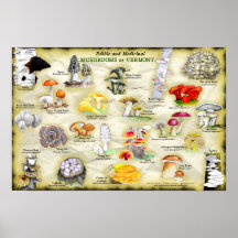 バーモントの18x12のポスター