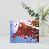 バーモントはがき1 ポストカード (スタンド正面)