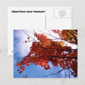 バーモントはがき1 ポストカード (正面/裏面)