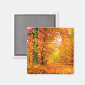 バーモントオータム自然景観 マグネット (正面/裏面)