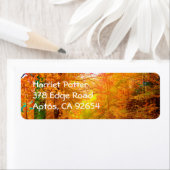 バーモントオータム自然景観 ラベル (インサイチュ)