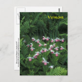 バーモントシャワーレディーズスリッパズインファーンズ ポストカード (正面/裏面)