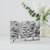 バーモントスウィンターワンダーランドB&W ポストカード (スタンド正面)