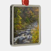 バーモントズグリーンの秋の大きなブルック2 メタルオーナメント (右)