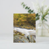 バーモントズグリーンの秋の大きな小川 ポストカード (スタンド正面)