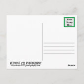 バーモントパンプキンパッチ ポストカード (裏面)