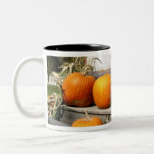 バーモント州アメリカカボチャ ツートーンマグカップ (左)