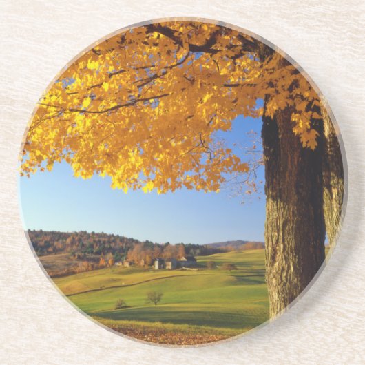 バーモント州アメリカ南ウッドストック近くのファームの名勝 コースター (正面)