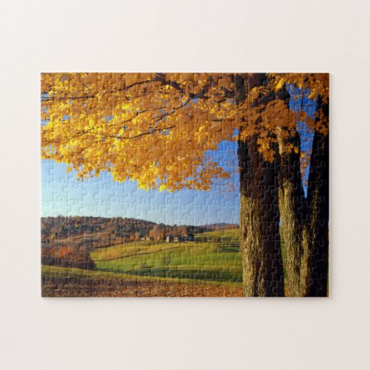 バーモント州アメリカ南ウッドストック近くのファームの名勝 ジグソーパズル (横)