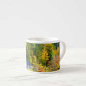 バーモント州アメリカ秋障害 エスプレッソカップ (正面右)