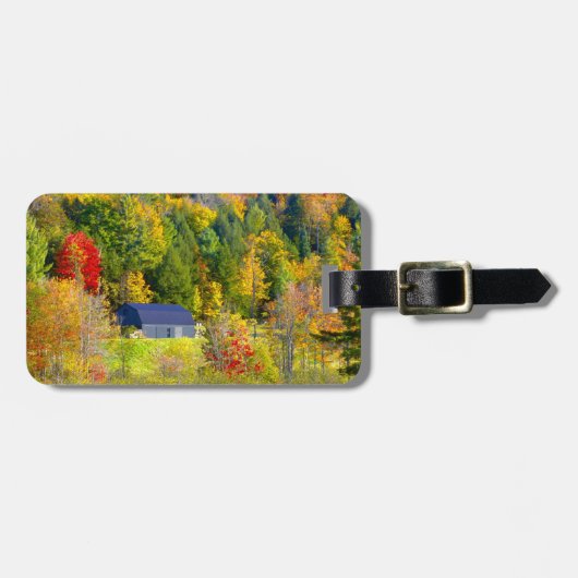 バーモント州アメリカ秋障害 ラゲッジタグ (正面横)