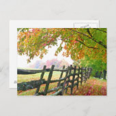 バーモント州アメリカ葉の下に秋を置く。 ポストカード (正面/裏面)