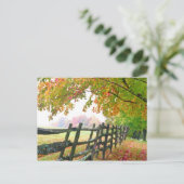 バーモント州アメリカ葉の下に秋を置く。 ポストカード (スタンド正面)