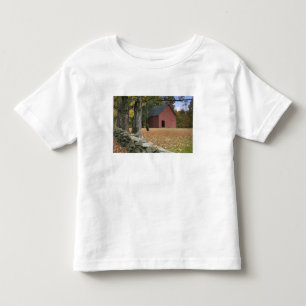 バーモント州南部、道路沿いのタイヤブランコ トドラーTシャツ