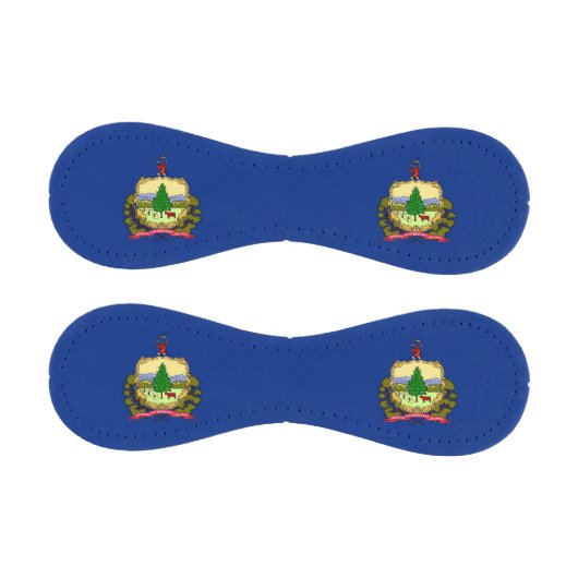 バーモント州旗を持つ愛国野球 野球ボール (パネル)