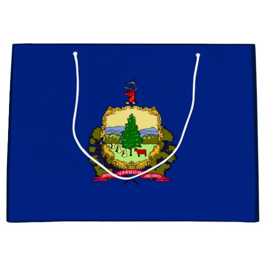 バーモント州旗デザイン ラージペーパーバッグ (正面)