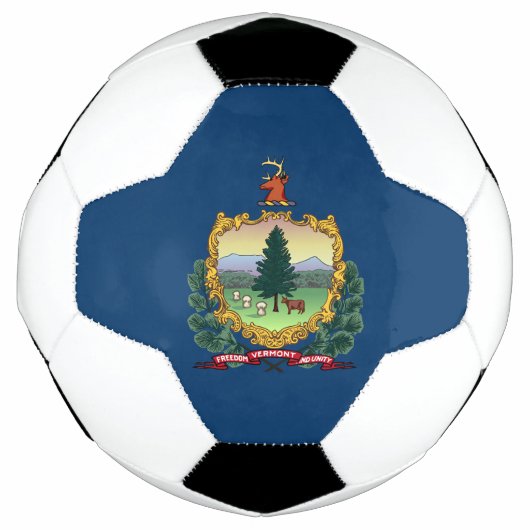 バーモント州旗 サッカーボール (正面)