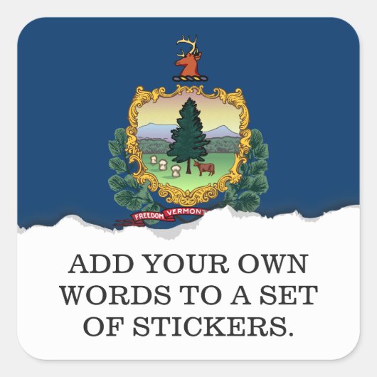 バーモント州旗 スクエアシール (正面)