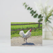 バーモント農場で道路を横断する鶏 ポストカード (スタンド正面)