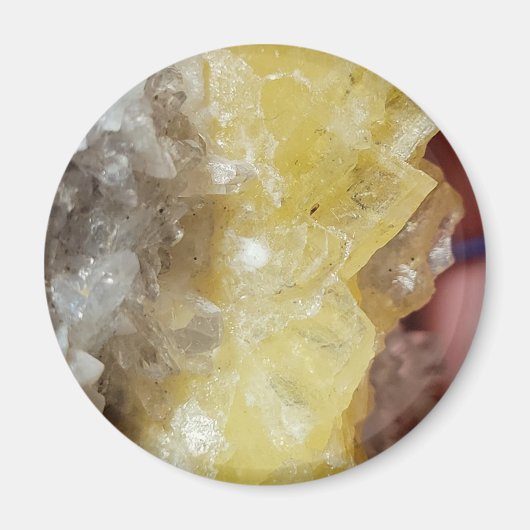 バーライトプリント磁石 マグネット (正面)