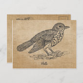 バーラップ素朴ハローリトルバード ポストカード (正面/裏面)