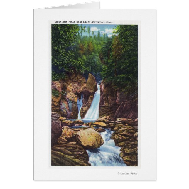 バーリントンの近くのバッシュビッシュ滝の素晴らし見解 (正面)